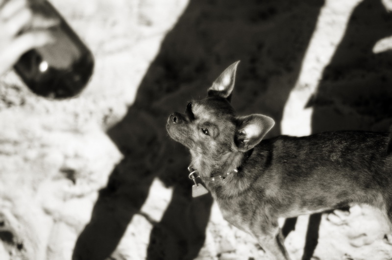 beach play 4